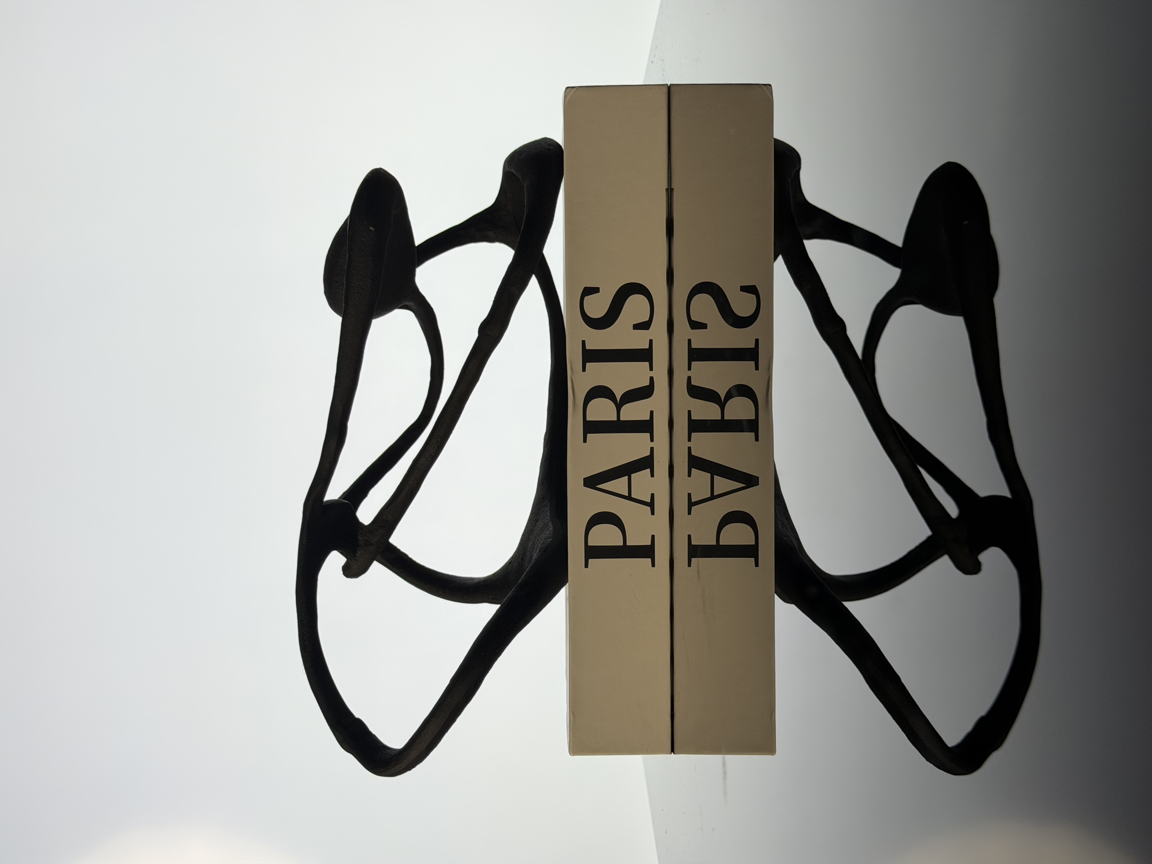 Organic Loop Abstract Sculpture (Black Fluid Form)