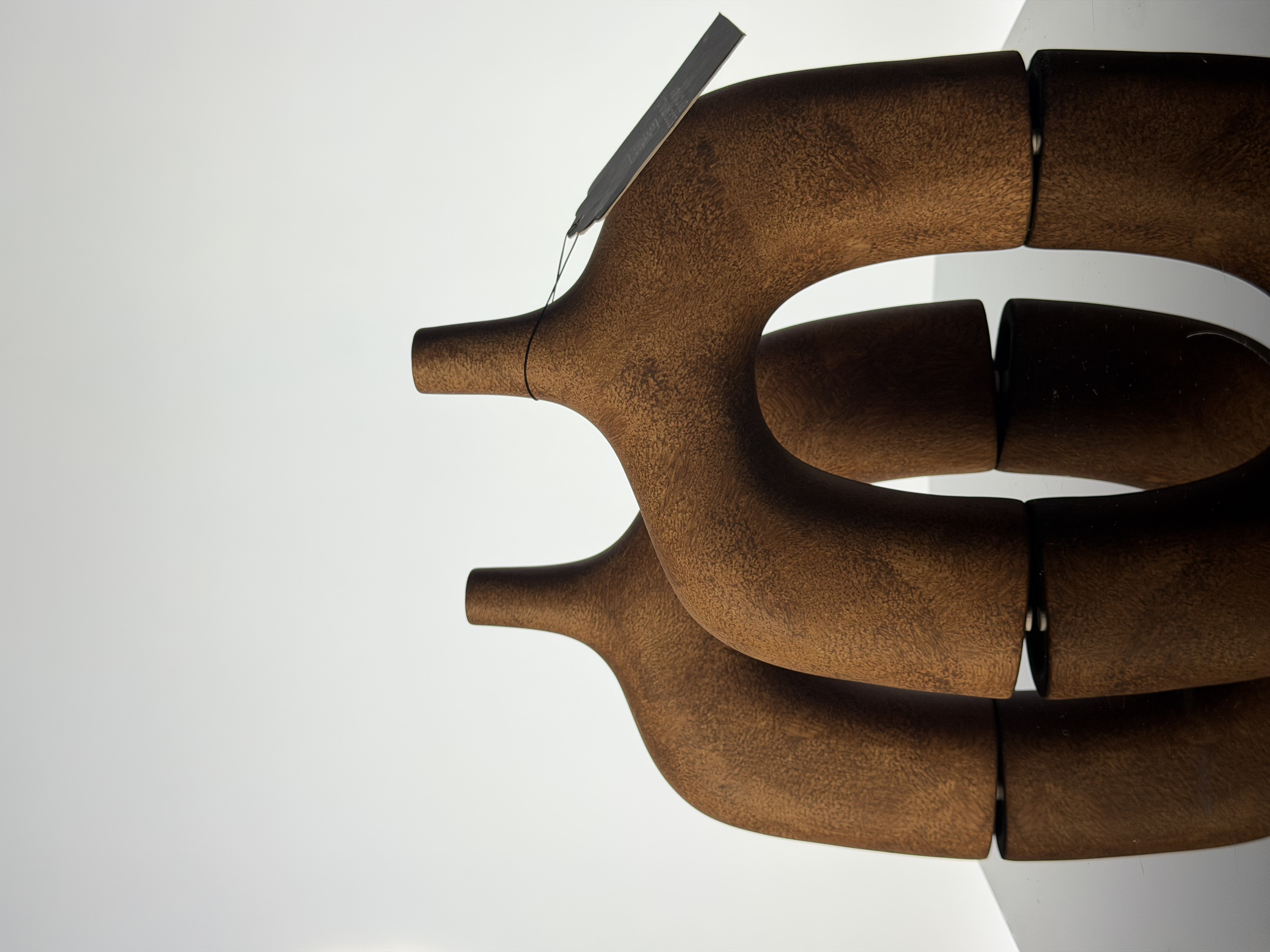 The Confluence — Arched Twin-Neck Vase